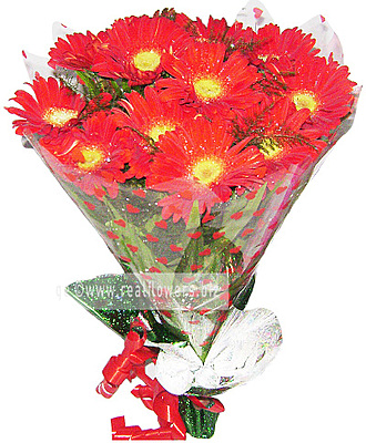 Another Gerbara Wish