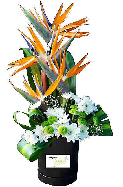 Atlanta Bouquet Atlanta Bouquet