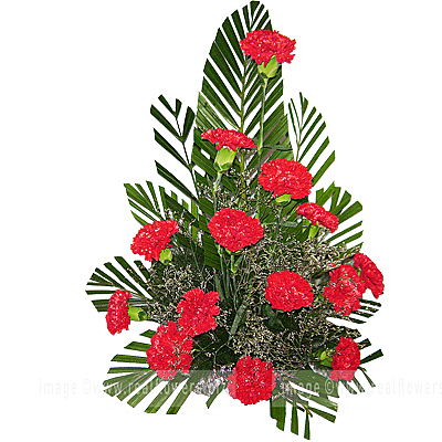 Red Carnations Bouquet