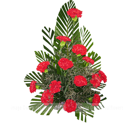 Red Carnations Bouquet